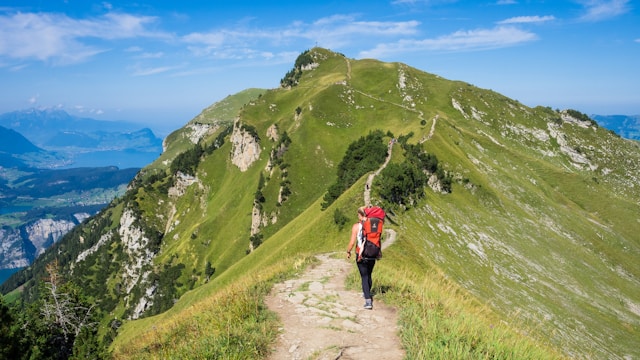 mid-climb on the way to financial independence